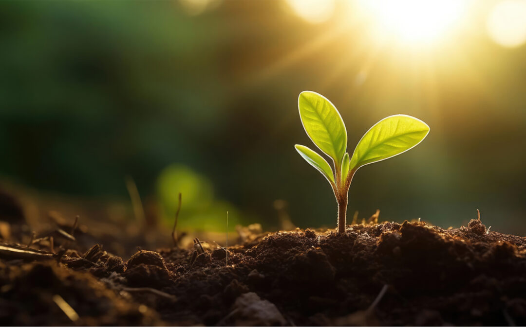 Ethics and the therapeutic relationship